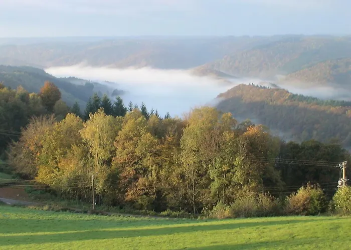 Bed & Breakfast L'orchidee